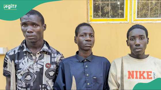 An kama 'yan fashi da makami da suka tare hanya a tsakiyar Kano