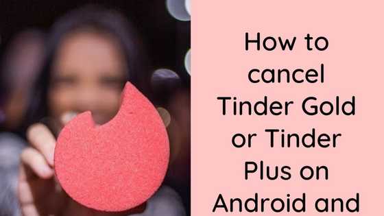 How to cancel Tinder Gold and Tinder Plus on Android and iOS