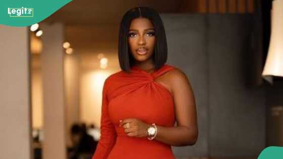 Hilda Baci reveals she tried to get on BBNaija before breaking Guinness Record: "I auditioned about 5 times"
