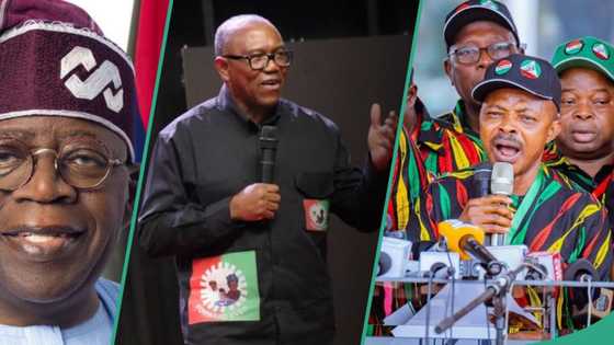 2027 presidency: Labour Party accuses NLC of working with Tinubu’s govt to kill opposition
