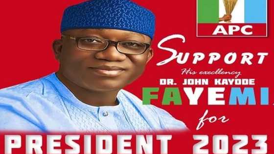 Shugaba kasa 2023: Fastocin yakin zaben Fayemi sun karade yanar gizo