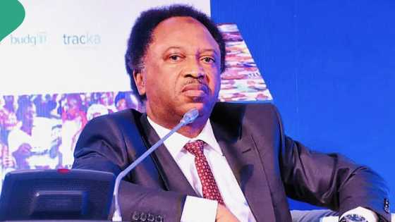 “It’s an opportunity”: Shehu Sani reacts as Shell, other top oil companies close operations in Nigeria