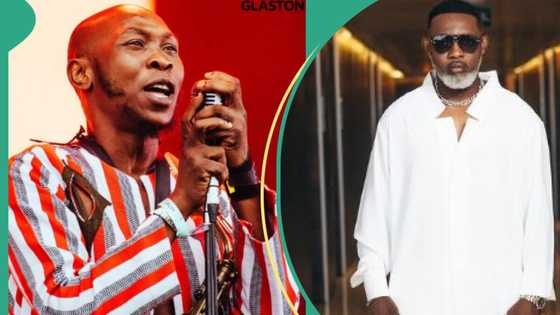 "He called my daughter a dog," Seun Kuti knocks AY Makun, taunts him over house gutted by fire