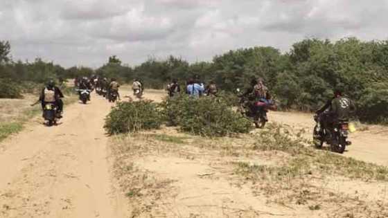 BREAKING: Bandits storm Kaduna community, kill 19 villagers