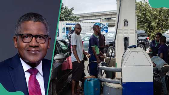 CEO lists reasons for hike in petrol prices despite supplies from Dangote refinery