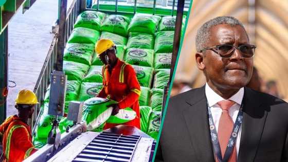 Dangote lists 4 steps to become a fertiliser distributor in Nigeria