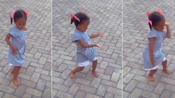 "She dey copy Ayra Starr": Little girl with swag dances to Sability in video, gets attention