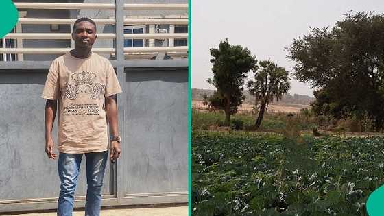 Man who went to inspect mum's land behind university makes disturbing observation, cries out