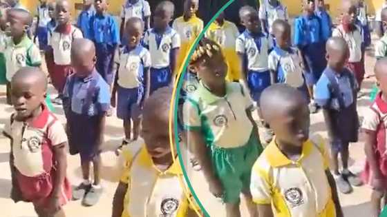 ‘Nigeria we hail thee’: Nigerians react as primary school pupils sing old anthem, video trends