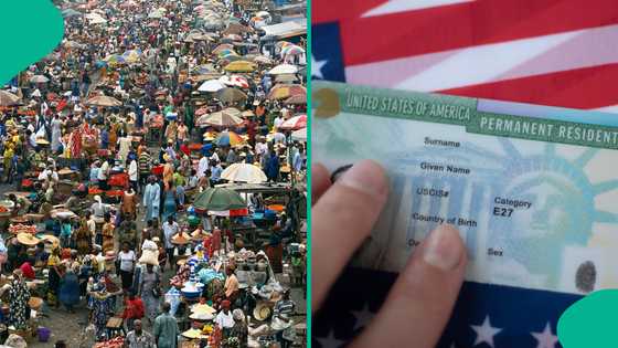 US Green Card: Full list of what every Nigerian in America must know
