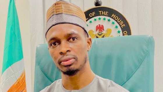 How we, presidency have failed Nigeria - Top APC lawmaker makes serious confession