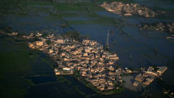 UN chief says world paying 'horrific price' for fossil fuels folly