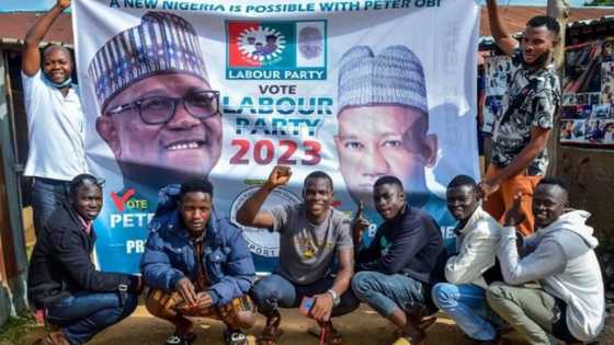 Peter Obi's supporters share photos of various Labour Party meetings nationwide