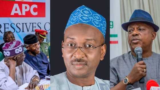 2023: Will APC survive after Buhari? Party chieftain clears air, gives reasons