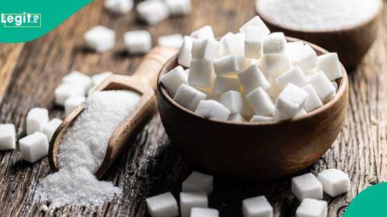 Bacita Sugar exits receivership as KIA Africa secures investor backing