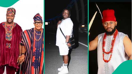 Femi Adebayo, Yul Edochie, other celebrities who are following their parents’ footsteps