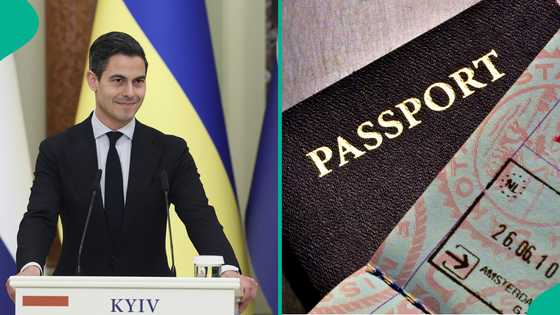 Netherlands announces 3 situations that can lead to loss of Dutch citizenship