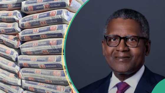 Dangote Cement moves to borrow money from Nigerians, promises to repay with interest