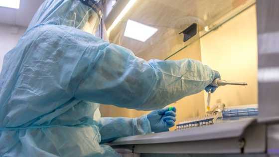 Breaking: NCDC announces 238 new coronavirus cases, Kano has 92