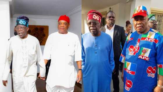 10th assembly: Kalu, Akapbio, Lawan, or Umahi? APC lawmaker exposes those trying to buy senate presidency