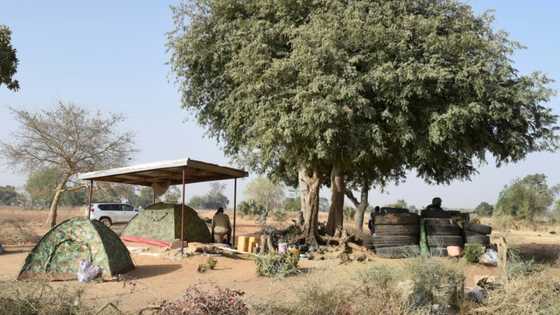 Togo says gunmen kill 'several' in attack on north