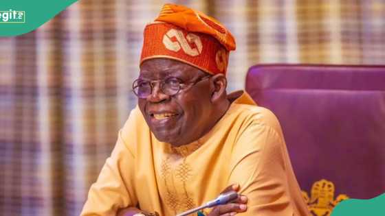BREAKING: Jubilation as Tinubu approves N50,000 grant, N155bn food package for Nigerian households