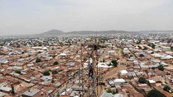 Yadda matashi a Gombe ya dale karfen sabis ya ce ba zai sauko ba sai an masa aure