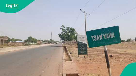 Tashin hankali: 'Yan bindiga sun kai sabon hari Kano, sun kashe bayin Allah