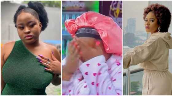 "This girl is manipulative": Amaka breaks down in tears as she argues with Phyna over winning strategy