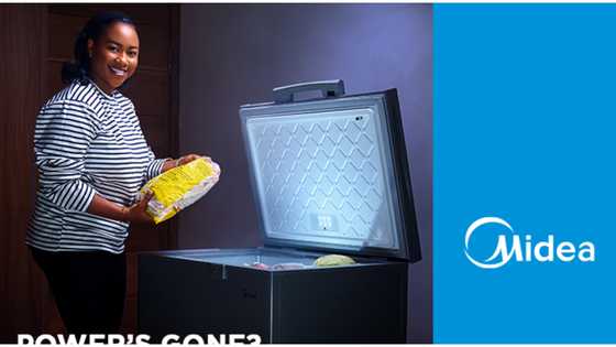 Energy-efficient, Fast-freezing, Power-saving: Midea delivers