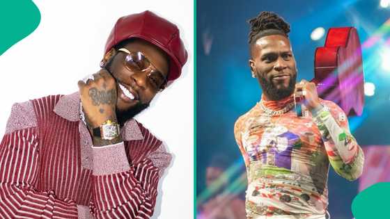 Burna Boy's whopping charge per show, demands, others surface: "Why pay a mid-artist this much?"