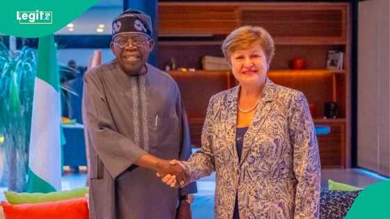 IMF lists outstanding charges to be paid as Nigeria clears $3.4 billion COVID-19 loan