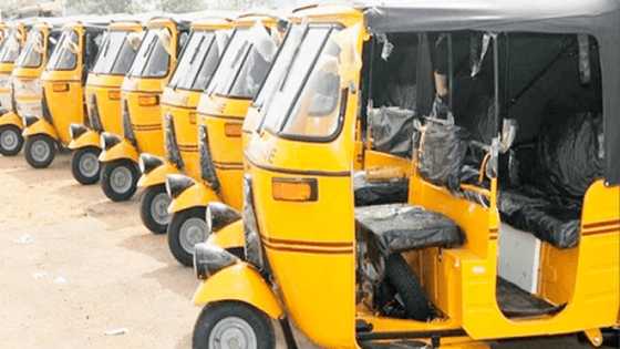 Direbobin Keke-Napep sun fadawa Bola Tinubu wanda ya kamata ya tafi da shi a APC