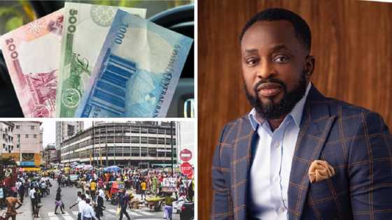 CBN must develop policies that encourage sustainable economic growth, says Tosin Osunkoya