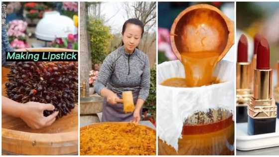 Nigerians react to beauty product made from palm kernels: "Na to carry lipstick dey cook soup"