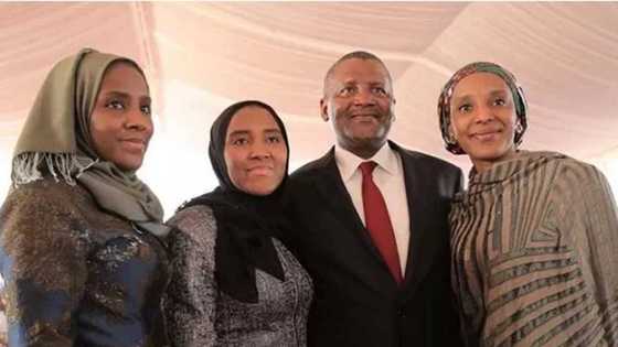 10 key facts about Dangote's daughters