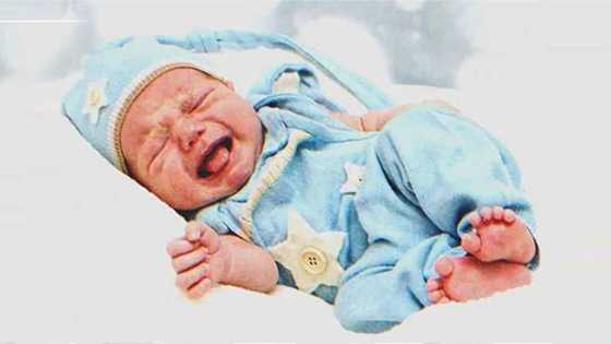 Nurse Gives Woman the Wrong Baby, Then New Mother Turns Pale — Story of the Day