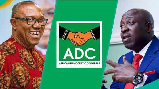 "How Amaechi threatened to leave over preferential treatment for Obi": ADC opens up