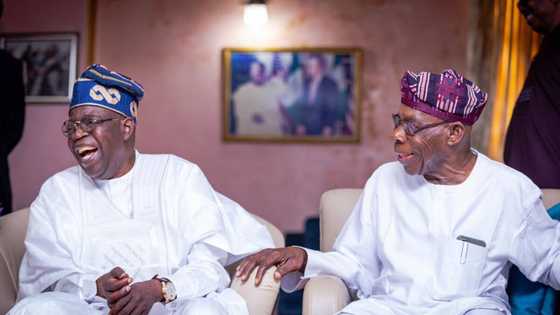 Bayanin Zuwan Bola Tinubu Gidan Olusegun Obasanjo a jihar Ogun Ya Bayyana