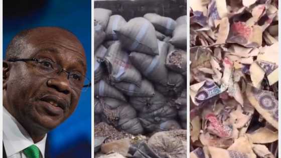 “Kudi Da Nake Nema” Matashi Ya Yi Bidiyon Buhuhunan Tsoffin Kudi Da CBN Ya Nika Ya Watsar