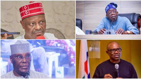 2023: “Vote for me, reject Tinubu, Atiku, Obi”, Kwankwaso tells Nigerians