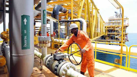 Nigeria emerges as OPEC's top performer as oil production hit 1.6 million barrels daily in March