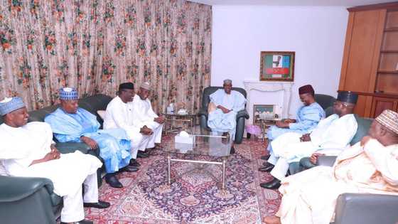 Gwamnonin APC sun gana da Shugaban kasa game da zaben wasu Jihohi