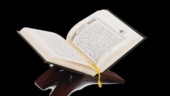 21-year-old breaks record, emerges overall best graduating student of Arabic institute in Lagos