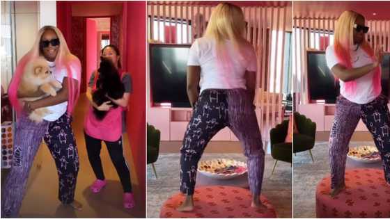 E no dey shake: Reactions as DJ Cuppy twerks on IG while explaining reason she's still single