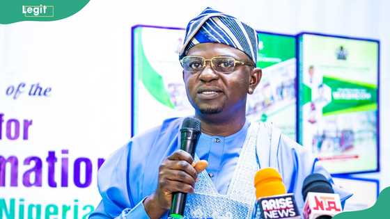 Nationwide protest: Benue youth groups withdraw as Tinubu's minister intervenes