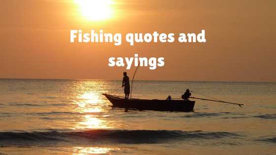 30+ great fishing quotes and sayings for the lovers of this hobby