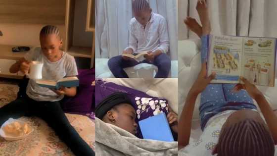 "My sister is a bookworm": Lady shows off her sibling's incredible passion for books, video inspires many