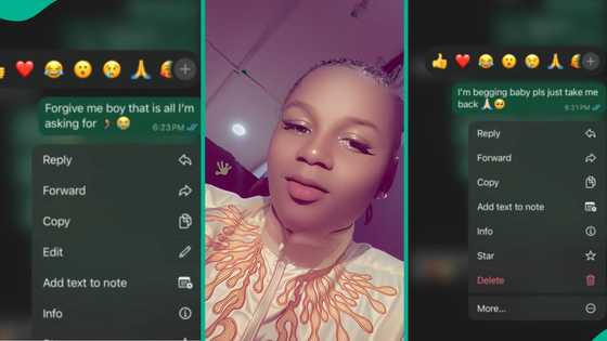 "Forgive me": Lady begs her ex-boyfriend in viral prank, gets emotional reply, their chats trend