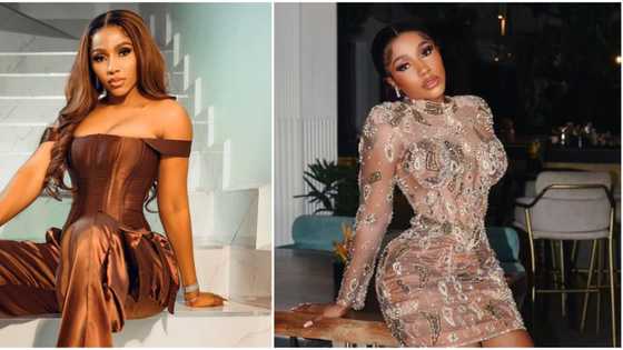 "I want people to think I did blood money": BBNaija Mercy Eke reveals her financial dreams for the year